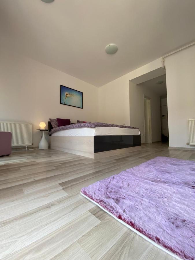 Central Studio Stefan-Brasov Bagian luar foto
